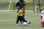 Amsterdam 2 juni 2006
Justin Kluivert op training bij de ajax jeugd. Justin is gescout door AJAX. Papa Patrick en moeder Angela waren natuurlijk bij de eerste training.
Peter Smulders bv