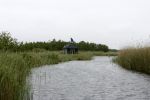 Muiderberg 31 mei 2006
Linda de Mol, Annette Malherbe Tjitske Reidinga  en Susan Visser  (Gooische vrouwen)op woonark in natuurreservaat Naardermeer tegen aanleg A6
Peter Smulders bv