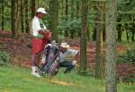 Noordwijk, 24 Juli 1992
Dutch Open Golf 1992 Heineken Open 1992
Op de Noordwijkse golfclub
Greg norman