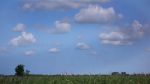 Sneekermeer