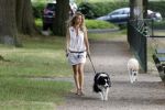 Laren 30 juni 2010
Vivian Ewbank laat haar honden uit.
Peter Smulders bv