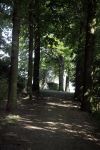 Zaltbommel, 7 Juli 2012 Park in Zaltbommel.
Ook wel Opa's Gatje genoemd