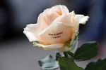 Mickey verkeerd geschrevenAmsterdam 13 juli 2012
Roos  voor trouwen Micky Hoogendijk en Adam Curry.
Peter Smulders bv