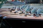 St Tropez 4 augustus 2012
Aantal riva's in de haven van St Tropez.
Peter Smulders bv