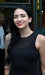 Amsterdam, 5 Augustus 2013
Premiere de Lone Ranger

Foto Peter Smulders BV