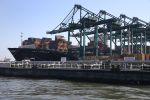 Antwerpen 18 Juli 2013,
Containervervoer per schip
Vervoersmaatschappij MSC
Fotopersbureau Peter Smulders BV
