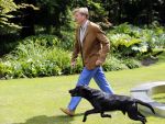 Wassenaar 19 juli 2013
Fotouur met Koning Willem Alexander koningin Maxima en de prinsesjes Amalia Alexia en Ariane bij hun huis op de horsten. Ook hun hond skipper was daarbij aanwezig.
Peter Smulders bv