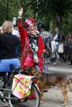 Amsterdam 1 juli 2013
Petra Heyboer met hond.
Peter Smulders bv