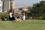 istanbul 22 mei 2013
Wesley Sneijder en zijn vrouw Yolanthe Sneijder Cabau met hun hond voor hun huis in Istanbul
Peter Smulders bv