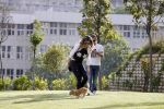 istanbul 22 mei 2013
Wesley Sneijder en zijn vrouw Yolanthe Sneijder Cabau met hun hond voor hun huis in Istanbul
Peter Smulders bv