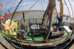 Ameland 27 Juni 2015
