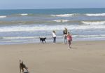 Wassenaar 10 juli 2015
Fotouurtje met Koningin Maxima Koning Willem Alexander en de prinsesjes Amalia Alexia en Ariane op het strand van Wassenaar.