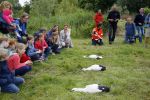 Amsterdam 18 juni 2015
Prinses Marilene en dochter Fee zijn bij het omdoen van de ringen van 3 net geboren ooievaars in het Vondelpark.