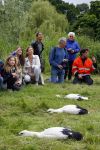 Amsterdam 18 juni 2015
Prinses Marilene en dochter Fee zijn bij het omdoen van de ringen van 3 net geboren ooievaars in het Vondelpark.