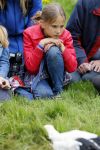 Amsterdam 18 juni 2015
Prinses Marilene en dochter Fee zijn bij het omdoen van de ringen van 3 net geboren ooievaars in het Vondelpark.