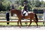 Aerdenhout 2 juli 2016
Esther de Graaf doet mee aan concours voor 5 en 6 jarigen in Aerdenhout.
