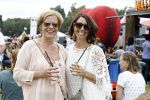 Amsterdam 15 juli 2016 
Day at the park festival in het amsterdamse bos. Inge Stoffels met een vriendin