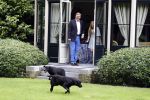 Wassenaar 8 juli 2016
Koninklijk fotouur op de Horsten met Koning Willem Alexander Koningin Maxima en de prinsessen Amalia Ariane en Alexia. Ook de honden zijn erbij.