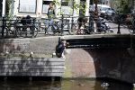 Amsterdam 13 juli 2016  
Selwyn Senatori zit samen met zijn vriendin op bankje zijn boek te signeren als haar fiets omvalt en haarvtas met mobieltje etc het water in valt . Een rondvaartboot vist alles eruit
