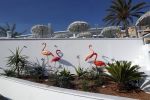 ibiza 23 juni 2017
Opening restarant club Xaxa van EWesley Sneijder en zijn vrouw Yolanthe Sneijder Cabau op eht strand van Cala Tarida.