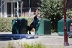 Amsterdam 1 juli 2018
Femke Halsema doet boodschappen en wandelt met haar hond.