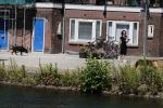 Amsterdam 1 juli 2018
Femke Halsema doet boodschappen en wandelt met haar hond.