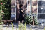 Amsterdam 1 juli 2018
Femke Halsema doet boodschappen en wandelt met haar hond.