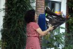 Amsterdam 28 juni 2018
Femke Halsema krijgt bloemen omdat ze de nieuwe burgemeester van Amsterdam wordt.