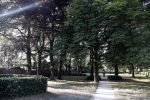Hilversum 29 juni 2018
Mabel Wisse Smit heeft voor haar moeder een huis gekocht naast de begraafplaats in Hilversum.