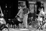 Amsterdam 30 juli 2019
Frank en Rogier ( Paleis voor een prikkie) met hun honden op de cornelis schuytstraat.