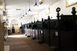 Den Haag 26 juli 2019
Binnenkijken op paleis Noordeinde en bij de koninklijke stallen met Frank en Rogier van het sbs6 programma paleis voor een prikkie.