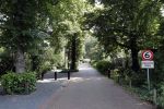 Den Haag 26 juli 2019
Binnenkijken op paleis Noordeinde en bij de koninklijke stallen met Frank en Rogier van het sbs6 programma paleis voor een prikkie.