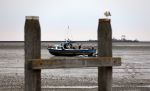 Schiermonnikoog, 19 Juli 2019
Jachthaven Schiermonnikoog
Laag water bij entree jachthaven