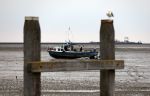 Schiermonnikoog, 19 Juli 2019
Jachthaven Schiermonnikoog
Laag water bij entree jachthaven