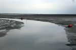 Schiermonnikoog, 19 Juli 2019
Jachthaven Schiermonnikoog
Laag water bij entree jachthaven