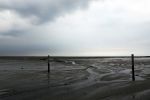 Schiermonnikoog, 19 Juli 2019
Jachthaven Schiermonnikoog
Laag water bij entree jachthaven