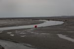 Schiermonnikoog, 19 Juli 2019
Jachthaven Schiermonnikoog
Laag water bij entree jachthaven