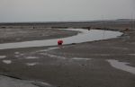 Schiermonnikoog, 19 Juli 2019
Jachthaven Schiermonnikoog
Laag water bij entree jachthaven