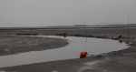 Schiermonnikoog, 19 Juli 2019
Jachthaven Schiermonnikoog
Laag water bij entree jachthaven