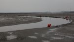 Schiermonnikoog, 19 Juli 2019
Jachthaven Schiermonnikoog
Laag water bij entree jachthaven