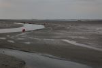 Schiermonnikoog, 19 Juli 2019
Jachthaven Schiermonnikoog
Laag water bij entree jachthaven
