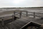 Schiermonnikoog, 19 Juli 2019
Jachthaven Schiermonnikoog
Laag water bij entree jachthaven