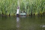 Loosdrecht 14 juli 2019
Huis van laurent Hompes op een eilandje voor Loosdrecht. Er staan paardestallen en heeft een eigen strand.