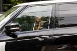 Amsterdam 3 juli 2019
Olcay Gulsen met aparte zonnebril in haar auto in Amsterdam