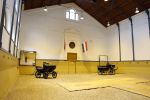 Den Haag 21 juli 2022
Binnenkijken bij paleis Noordeinde en de koninklijke stallen.