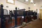 Den Haag 21 juli 2022
Binnenkijken bij paleis Noordeinde en de koninklijke stallen.
Paard in koninklijke stallen