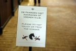 Den Haag 21 juli 2022
Binnenkijken bij paleis Noordeinde en de koninklijke stallen.