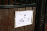 Den Haag 21 juli 2022
Binnenkijken bij paleis Noordeinde en de koninklijke stallen.
Paard Vitus