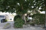Harderwijk 20 juli 2022
Huis Volkert v d Graaf