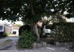 Harderwijk 20 juli 2022
Huis Volkert v d Graaf
